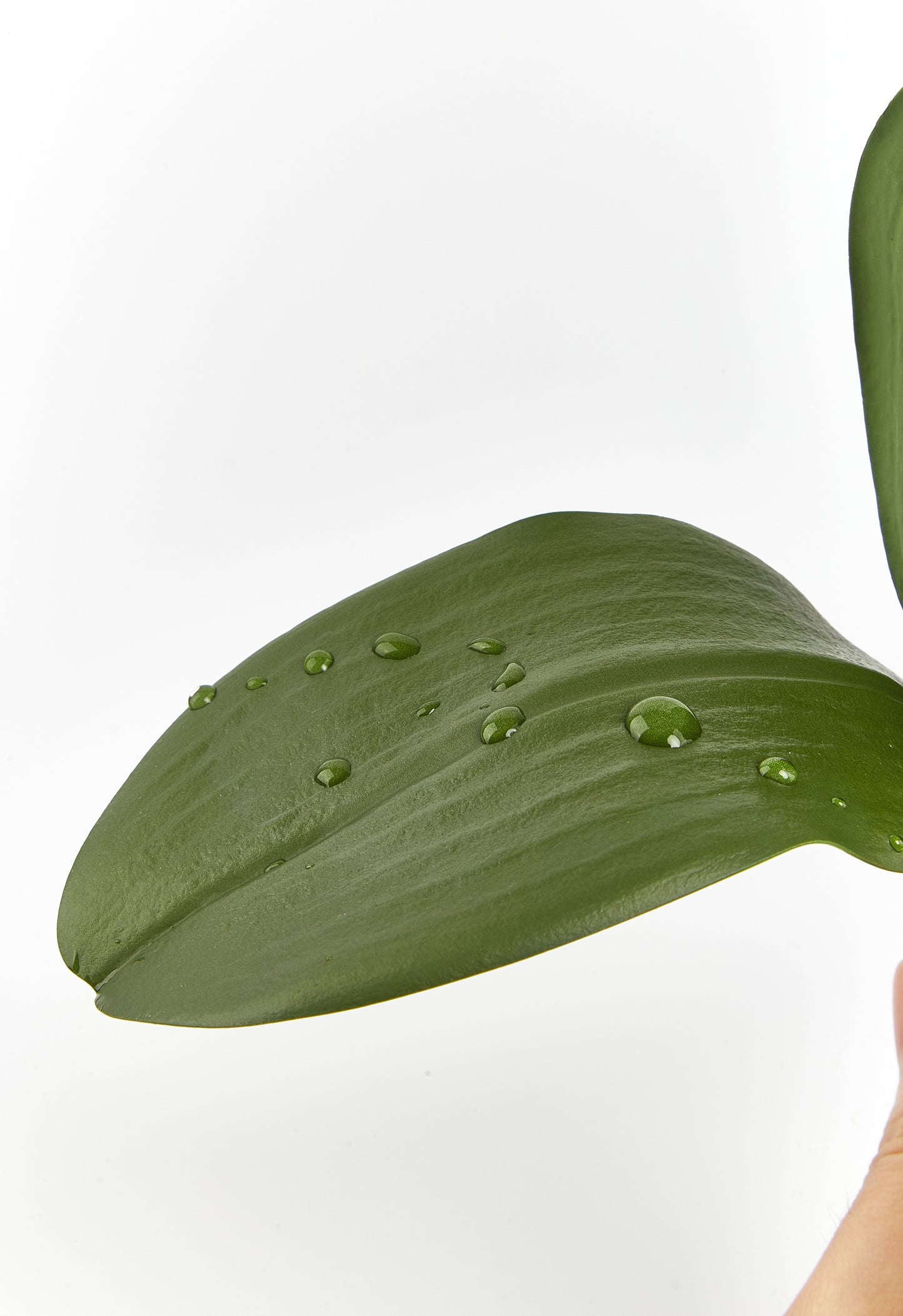 1pc, Faux Orchid, Potted Plant, Potted Flower Ornament Decorative Flower Plant, Photo Props, Outdoor Decor, Home Decor, Mother's Day Gifts Birthday Gifts