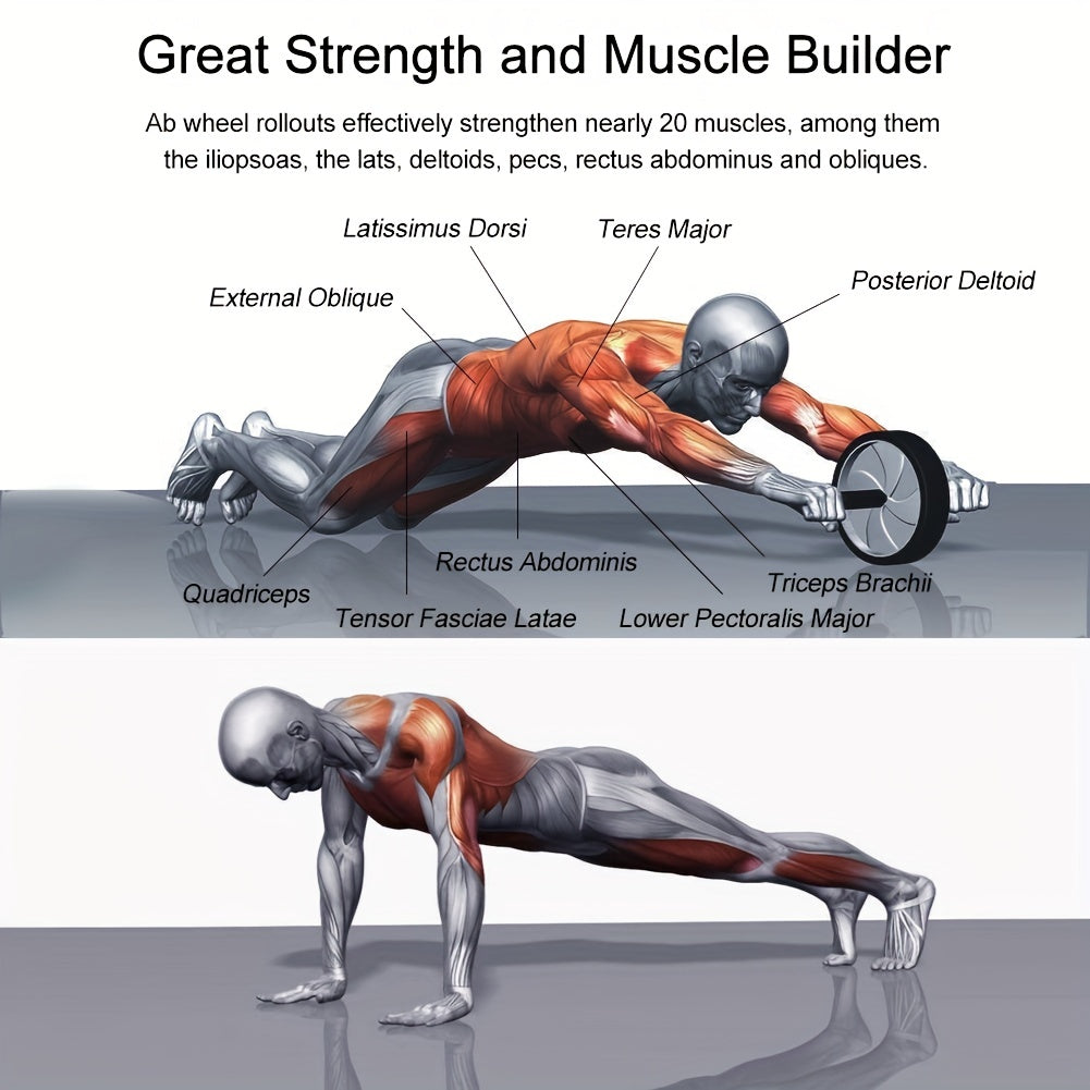 Abdominal Wheel, Abdominal Muscle Wheel, Tummy Tuck Fitness Equipment, Strength Training Set, Silent and Stable Abdominal Wheel, Suitable for Living Room, Home, Indoor, Gym etc., Gift for Fitness Enthusiasts and Athletes