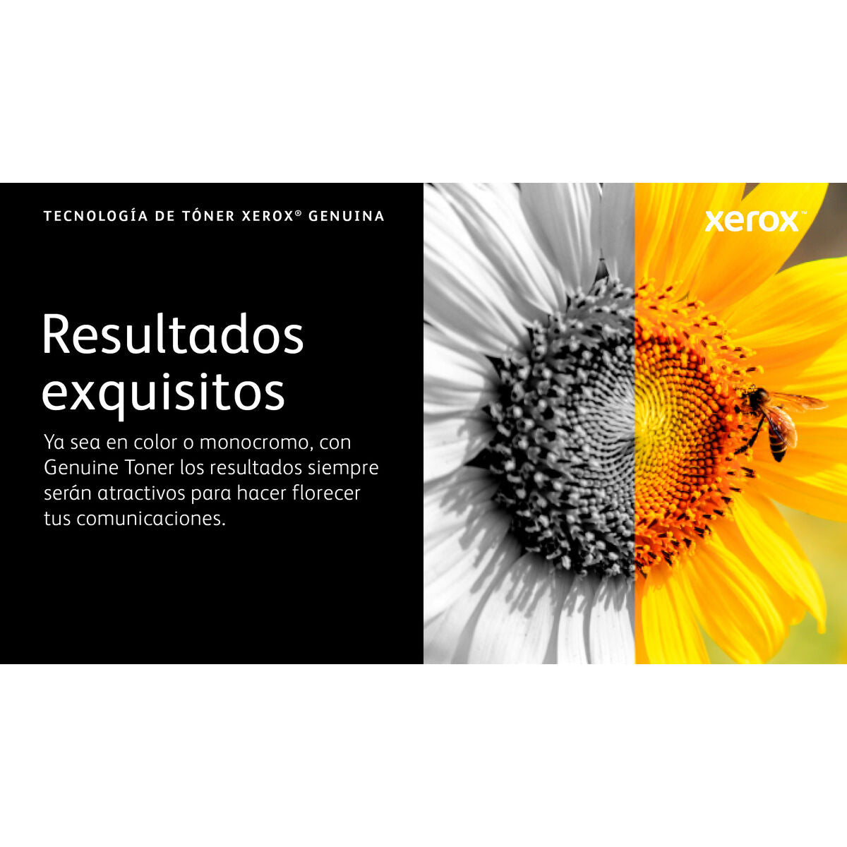 V2HEB3F36260BFBD3385DB354E4C6D36B42R7710756P9