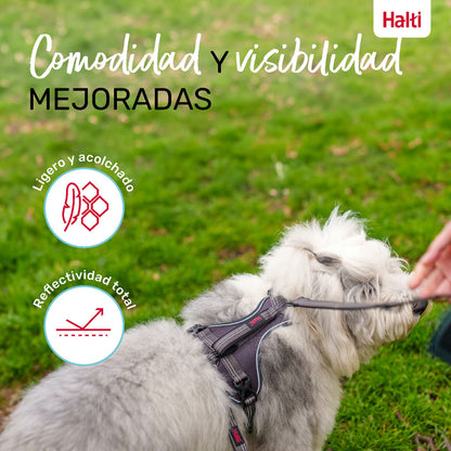 V6HDFB14628C3737574227AF7B47142E2F3R5328536P5