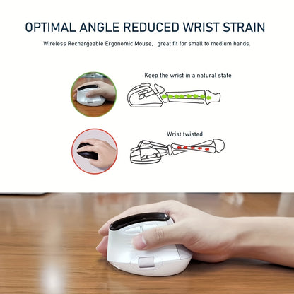 MCPIWOHY Dual Wheel Wireless Wireless Mouse, 2.4GHz, Type-C Wired Triple Mode Connection, Ergonomic Mouse with Screen Display, Rechargeable Optical Mouse