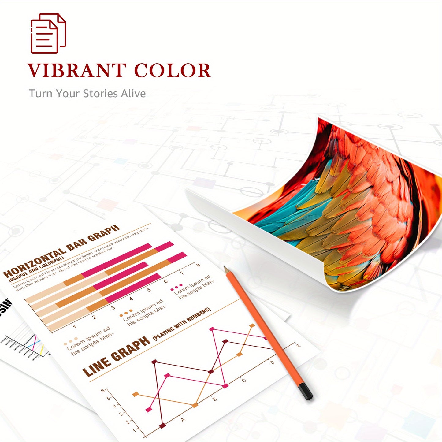 603XL Ink Cartridges Compatible for Epson 603 XL Ink Cartridges for Expression Home XP-2100 XP-2150 XP-3100 XP-3105 XP-3150 XP-4100 XP-4155 Workforce WF-2810 WF-2830 WF-2835 WF-2840 WF-2850 10Pack