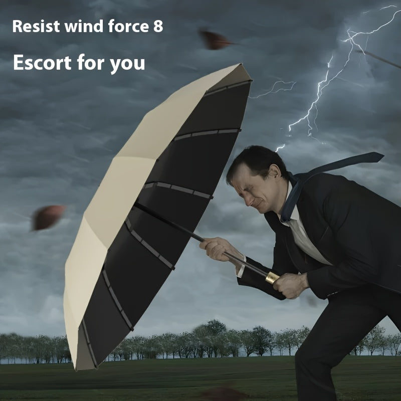 Guarda-chuva resistente com abertura/fecho automático, 12 varetas, pega em madeira maciça (bétula/faia) - Ampla cobertura, resistente ao vento e dobrável, ideal para homens, negócios e viagens - Cor sólida (bordô/preto/azul-marinho)