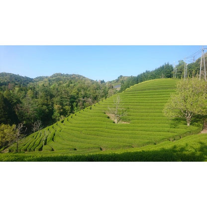 Premium JapaneseMatcha Tea Powder, 100g, Green Tea, High Quality