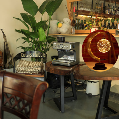 LED Ball Lamp Wrought Iron Moon Lamp, Plastic And Iron Bar Desk Lamp Decorative Lamp, Bedroom Decorative Modeling Lamp (battery Not Included) Halloween, Christmas Decor For Hotel/catering/event Holding