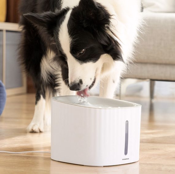 Fonte para Animais de Estimação Drinkatt InnovaGoods