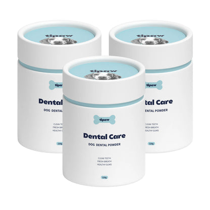 https://cdn.shopify.com/s/files/1/0573/7388/4529/files/Dental_2_e4f4f247-f24f-4475-9cb0-30131ddc9afb.webp?v=1768468612