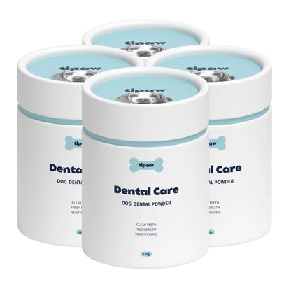 https://cdn.shopify.com/s/files/1/0573/7388/4529/files/Dental_3_0b971f4f-81d0-4896-b586-ee27f17572fe.webp?v=1768468612