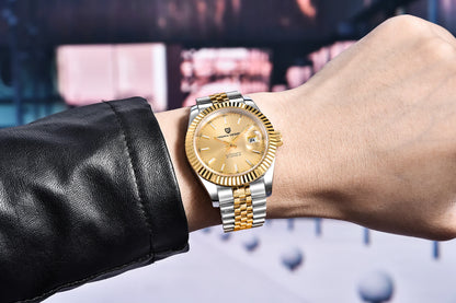 PAGANI DESIGN Man Mechanical Watch Top Brand Luxury Automatic Watch Stainless Steel 100m Waterproof Watch Men Clock Reloj Hombre