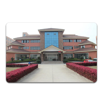 Lab Analytical Balance 50gx0.001g High-Precision Lab Scale Accurate Electronic Scientific Jewelry Scales with Windshield