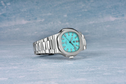 PAGANI DESIGN 2025 Men's Watches top brand Luxury Automatic Watch For Men Mechanical Wristwatch Stainless Waterproof Sapphire