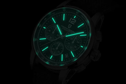 PAGANI DESIGN 2024 New Luxury Fashion Casual Men Quartz Watches VK63 100M Water Resistant Sapphire Glass Stainless Steel Watches