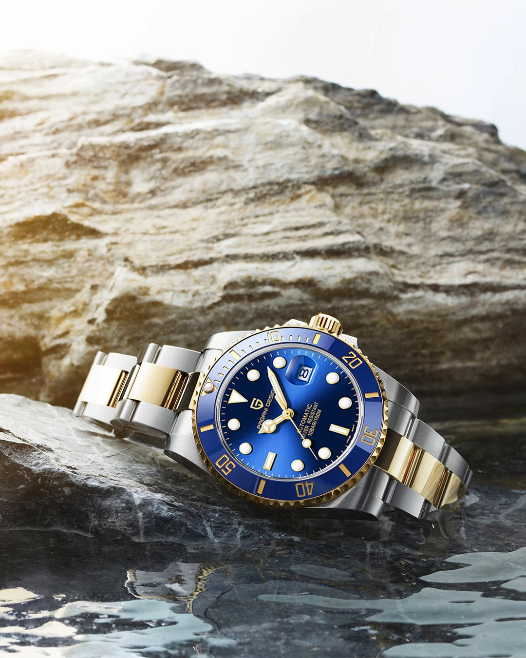 2024 New PAGANI DESIGN 43MM Men Mechanical Watches Luxury Ceramic Bezel 120 Clicks Automatic Watch 100M Waterproof Watch for Men