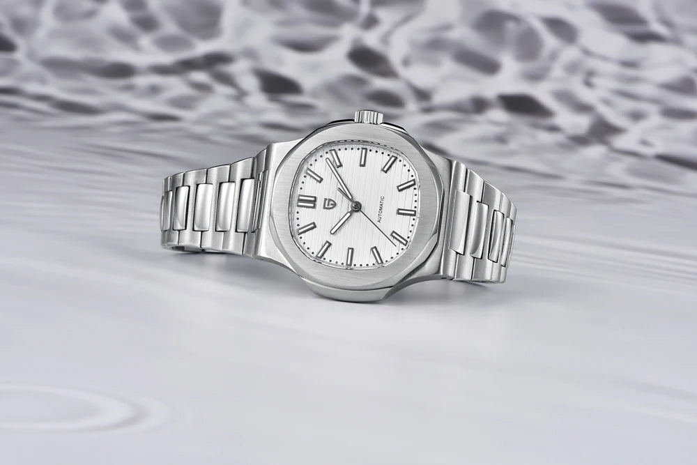 PAGANI DESIGN 2025 New Men's Watches Luxury Automatic Watch For Men Mechanical 40MM WristWatch Stainless Steel AR Sapphire glass