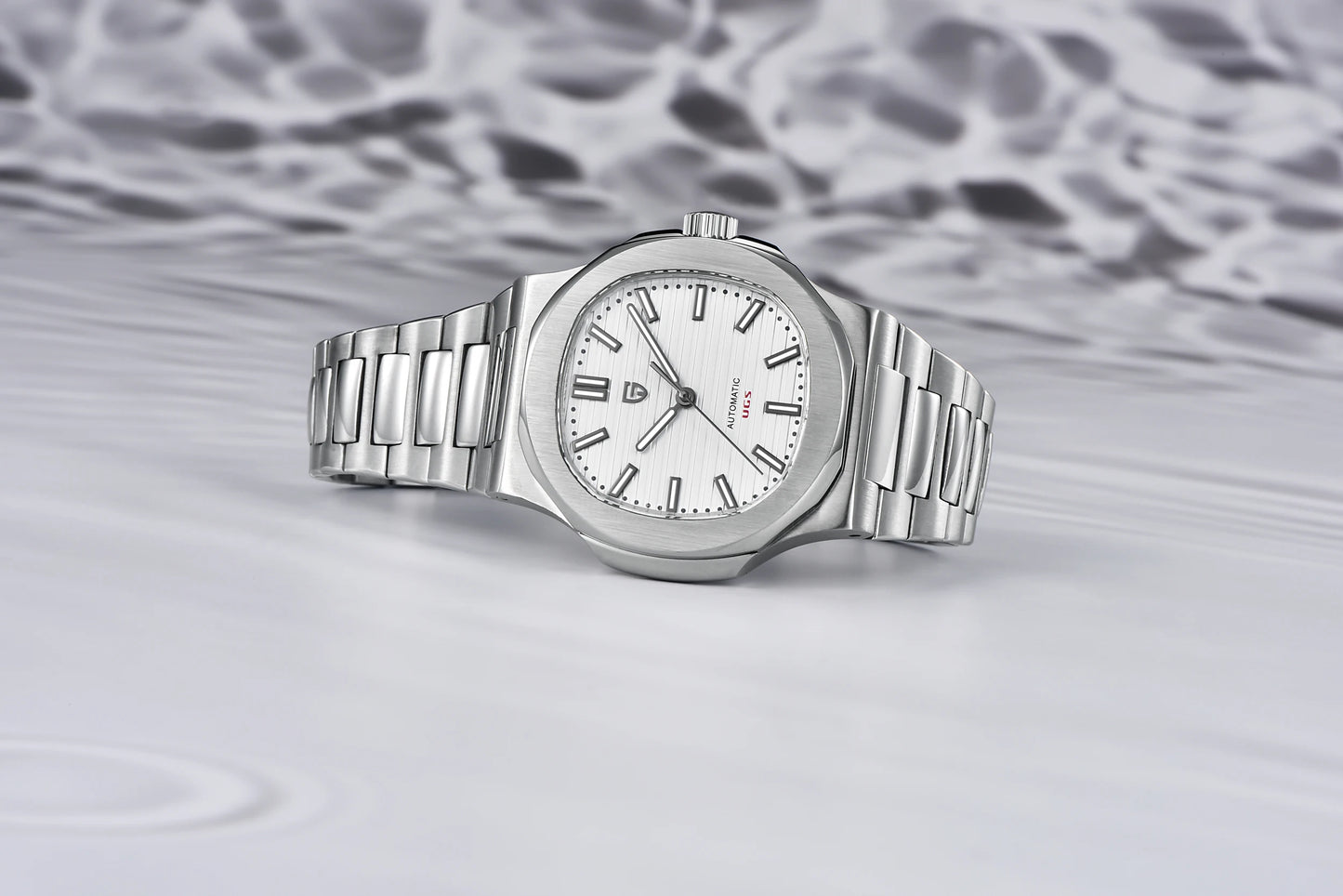 PAGANI DESIGN 2025 Men's Watches top brand Luxury Automatic Watch For Men Mechanical Wristwatch Stainless Waterproof Sapphire