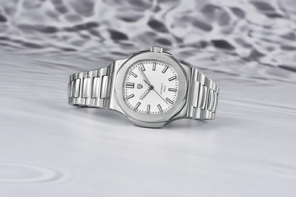 PAGANI DESIGN 2025 Men's Watches top brand Luxury Automatic Watch For Men Mechanical Wristwatch Stainless Waterproof Sapphire