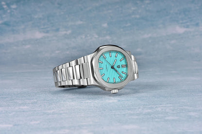 PAGANI DESIGN 2025 New Men's Watches Luxury Automatic Watch For Men Mechanical 40MM WristWatch Stainless Steel AR Sapphire glass