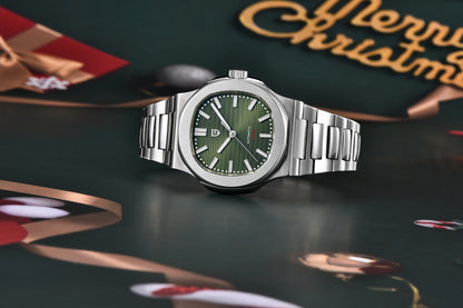 PAGANI DESIGN 2025 Men's Watches top brand Luxury Automatic Watch For Men Mechanical Wristwatch Stainless Waterproof Sapphire