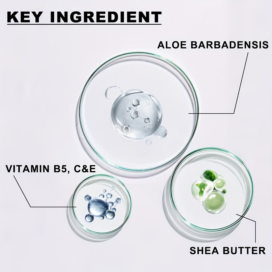 COOLDEW Luxury Retinol Collagen Resveratrol Cream with 10% Peptides, Hyaluronic Acid, Shea Butter & Vitamin A/C/E - Paraben-Free, Fragrance-Free, Non-Greasy Moisturizing for All Light Beige Types (Sensitive, Dry, Oily) - Day