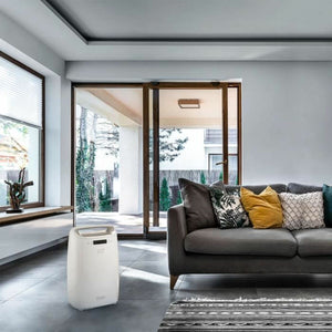 Desumidificador DeLonghi 14 L 2,1 L