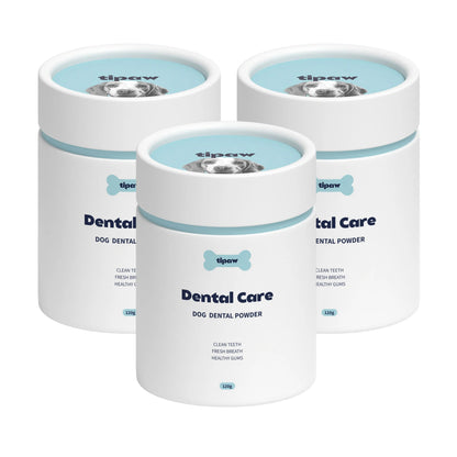 https://ik.imagekit.io/c2dr4dawp/https%3A%2F%2Fcdn.shopify.com%2Fs%2Ffiles%2F1%2F0573%2F7388%2F4529%2Ffiles%2FDental_2_e4f4f247-f24f-4475-9cb0-30131ddc9afb.webp%3Fv%3D1768468612?tr=f-jpg