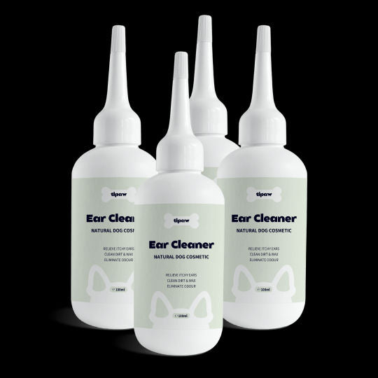 https://ik.imagekit.io/c2dr4dawp/https%3A%2F%2Fcdn.shopify.com%2Fs%2Ffiles%2F1%2F0573%2F7388%2F4529%2Ffiles%2FEar-Cleaner-variant4-min.png%3Fv%3D1767436610?tr=f-jpg