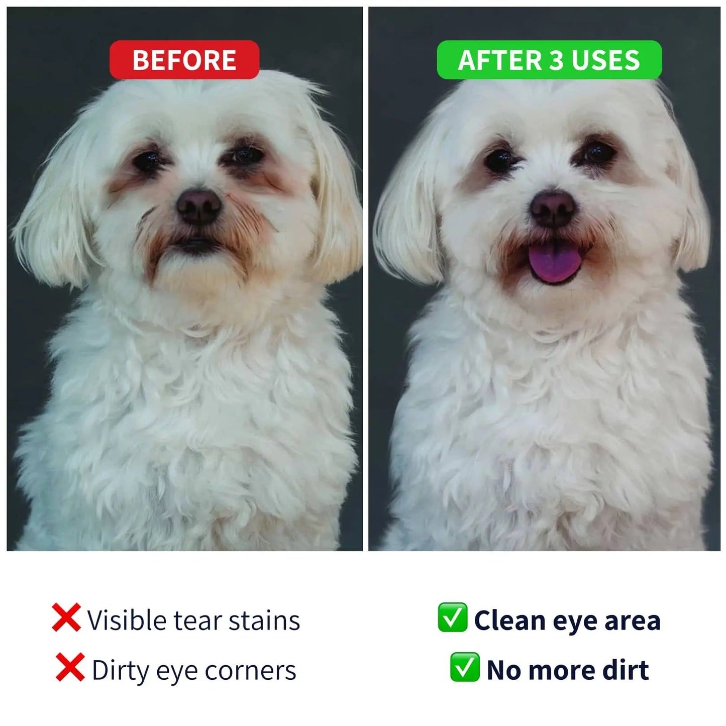 https://ik.imagekit.io/c2dr4dawp/https%3A%2F%2Fcdn.shopify.com%2Fs%2Ffiles%2F1%2F0573%2F7388%2F4529%2Ffiles%2FEye-cleaner-before-after-dog-min.webp%3Fv%3D1768468364?tr=f-jpg