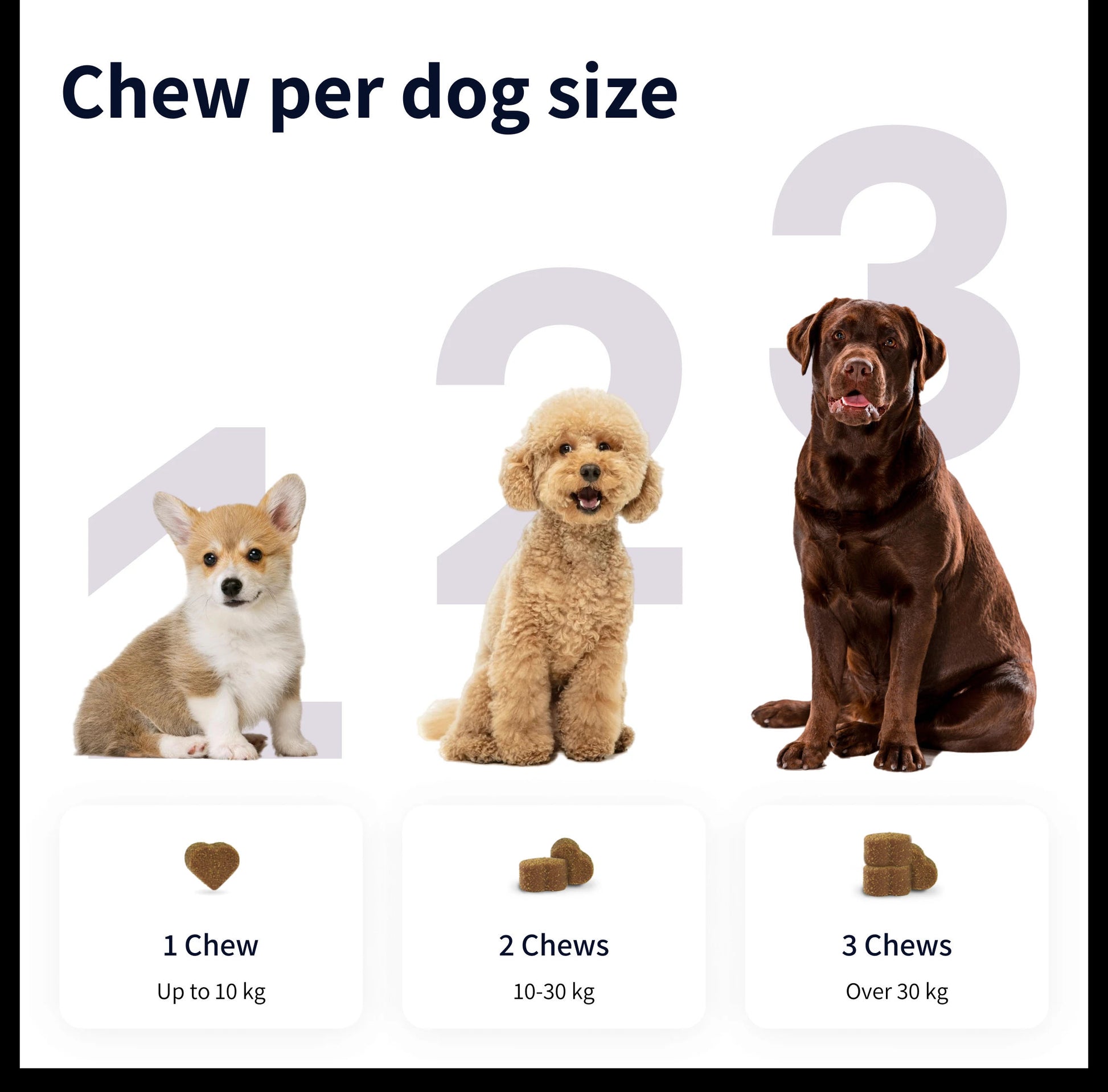 https://ik.imagekit.io/c2dr4dawp/https%3A%2F%2Fcdn.shopify.com%2Fs%2Ffiles%2F1%2F0573%2F7388%2F4529%2Ffiles%2FImage_1_e26f5e67-4e27-441b-92c0-0bbbfed6898c.webp%3Fv%3D1768468860?tr=f-jpg