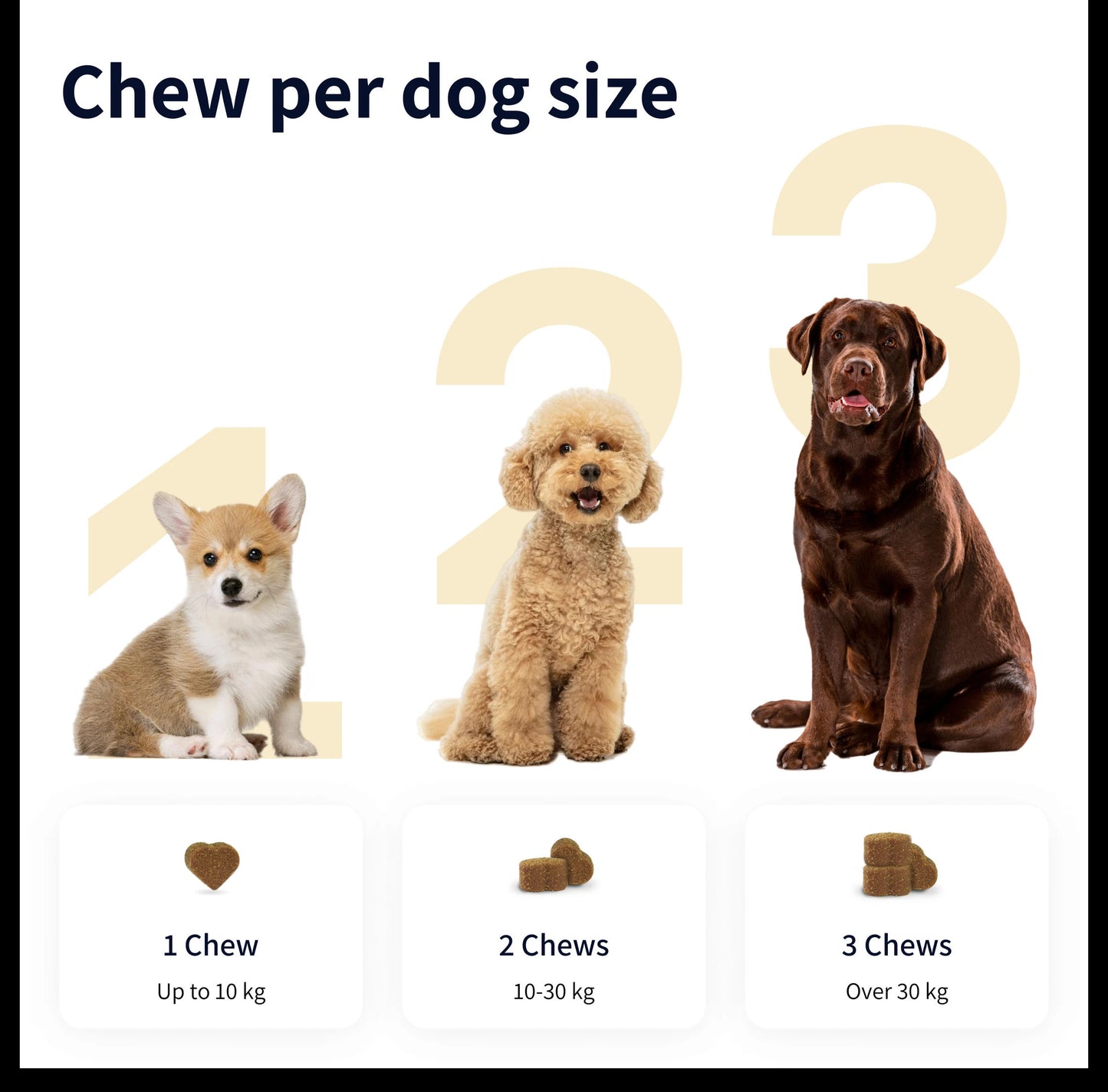 https://ik.imagekit.io/c2dr4dawp/https%3A%2F%2Fcdn.shopify.com%2Fs%2Ffiles%2F1%2F0573%2F7388%2F4529%2Ffiles%2FImage_fdce5629-1896-4a66-93e1-e663c41aa582.webp%3Fv%3D1768468846?tr=f-jpg