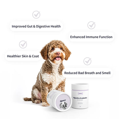 https://ik.imagekit.io/c2dr4dawp/https%3A%2F%2Fcdn.shopify.com%2Fs%2Ffiles%2F1%2F0573%2F7388%2F4529%2Ffiles%2Fprobiotics-perks.webp%3Fv%3D1768468860?tr=f-jpg