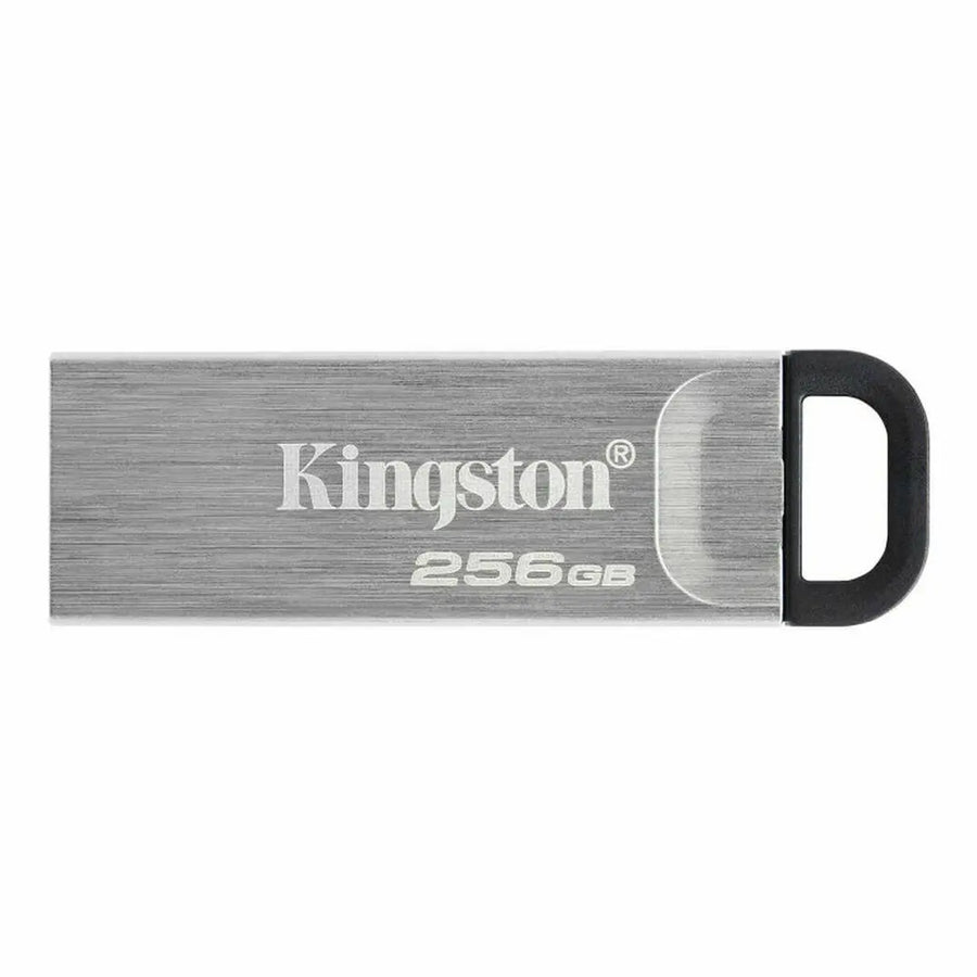 Kingston Black USB Memory 256 GB